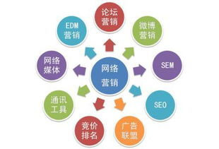 互聯(lián)網(wǎng)背景下企業(yè)網(wǎng)絡(luò)營銷方式的研究 聚焦互聯(lián)網(wǎng)銷售